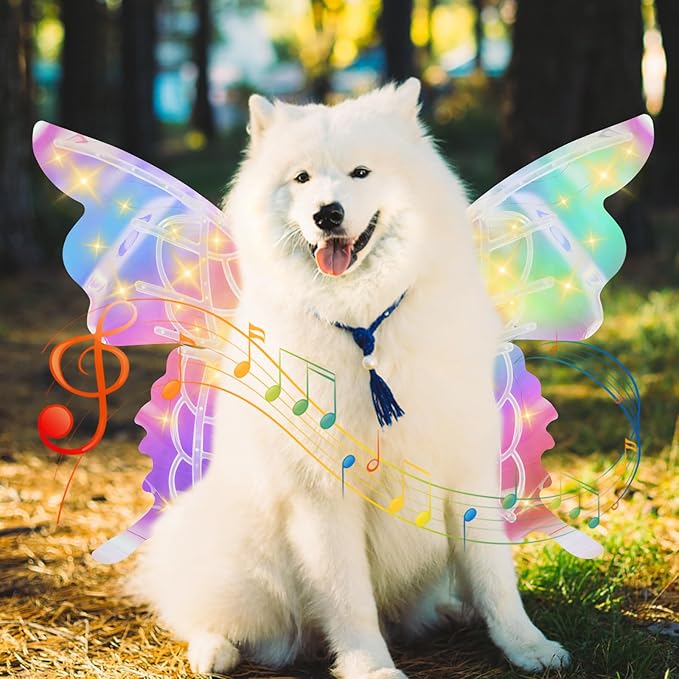 GRAN OFERTA MagicFly™: ALAS LED CON MOVIMIENTO